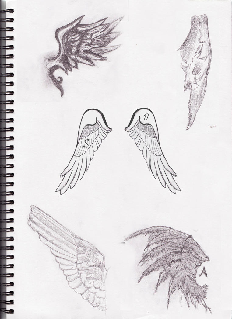 Wings Tattoo Sketch Design 15