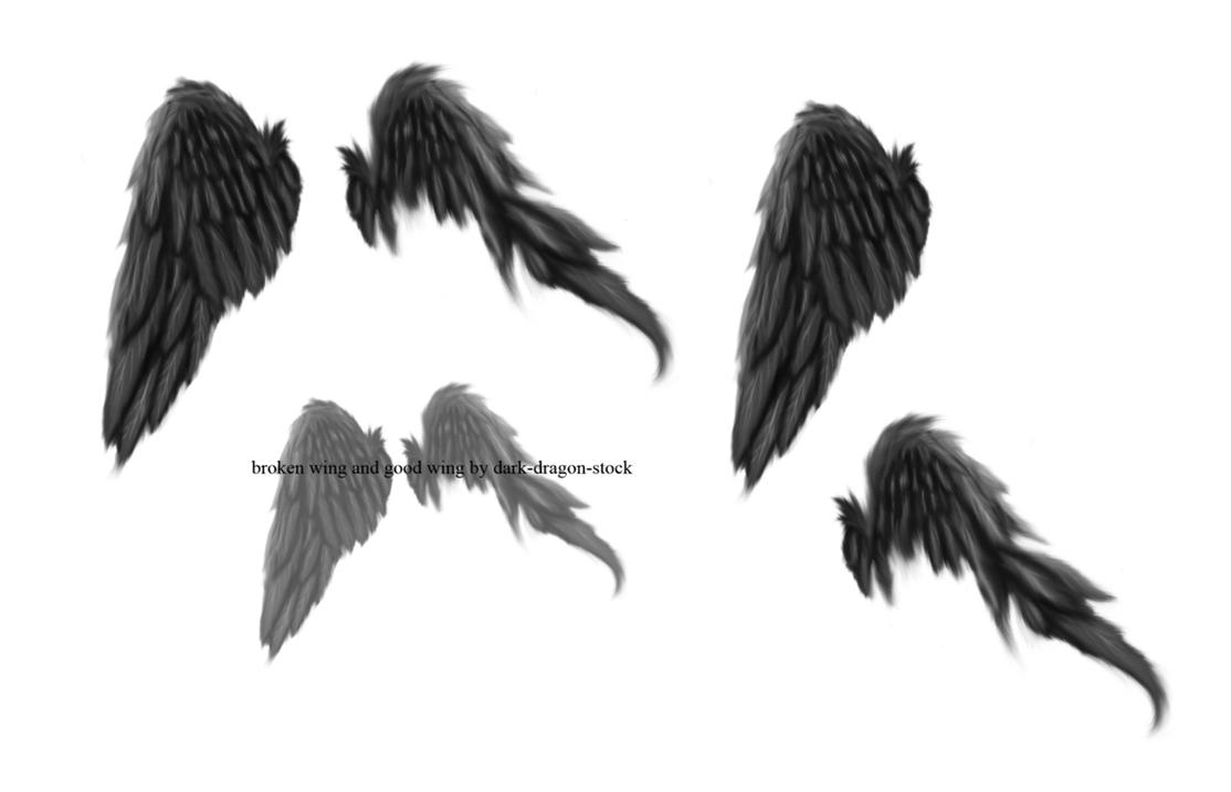 broken wings brushes by