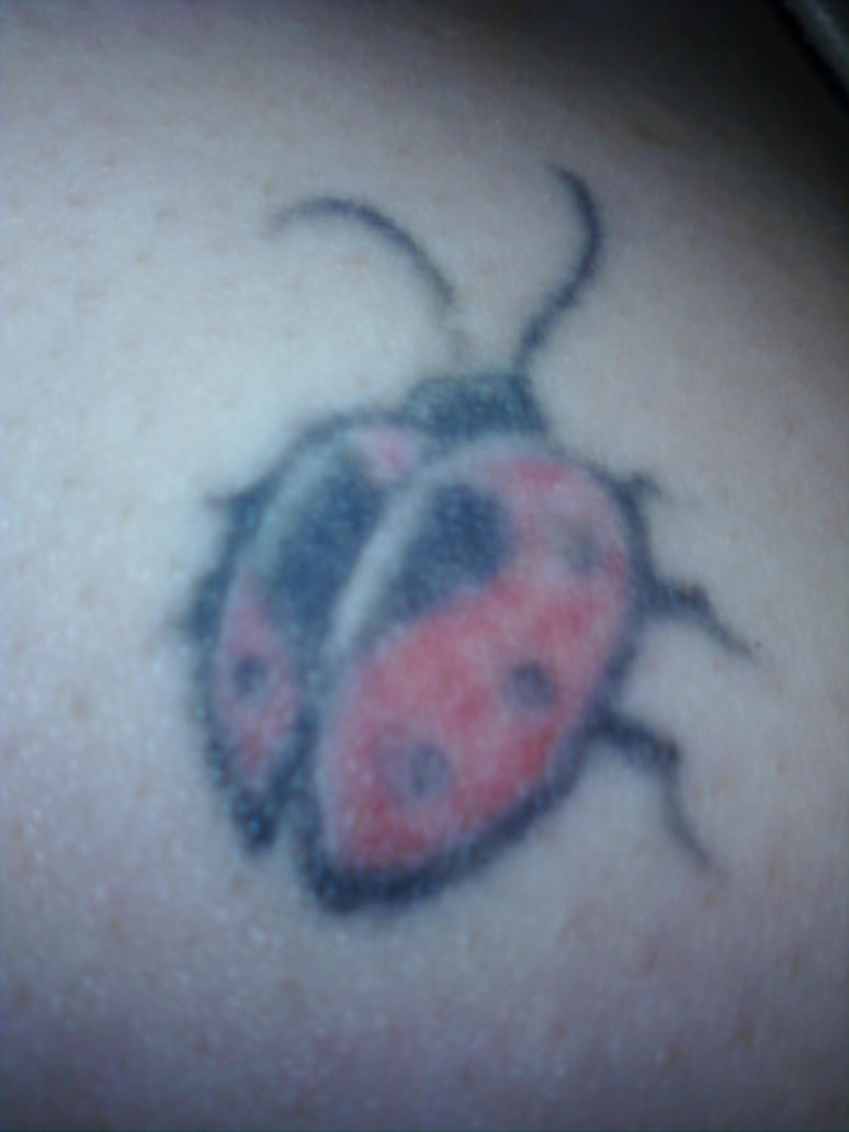 My Ladybug Tattoo by melina