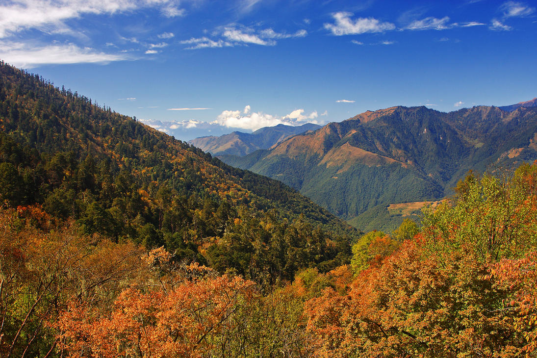Bhutan Landscape by ernieleo