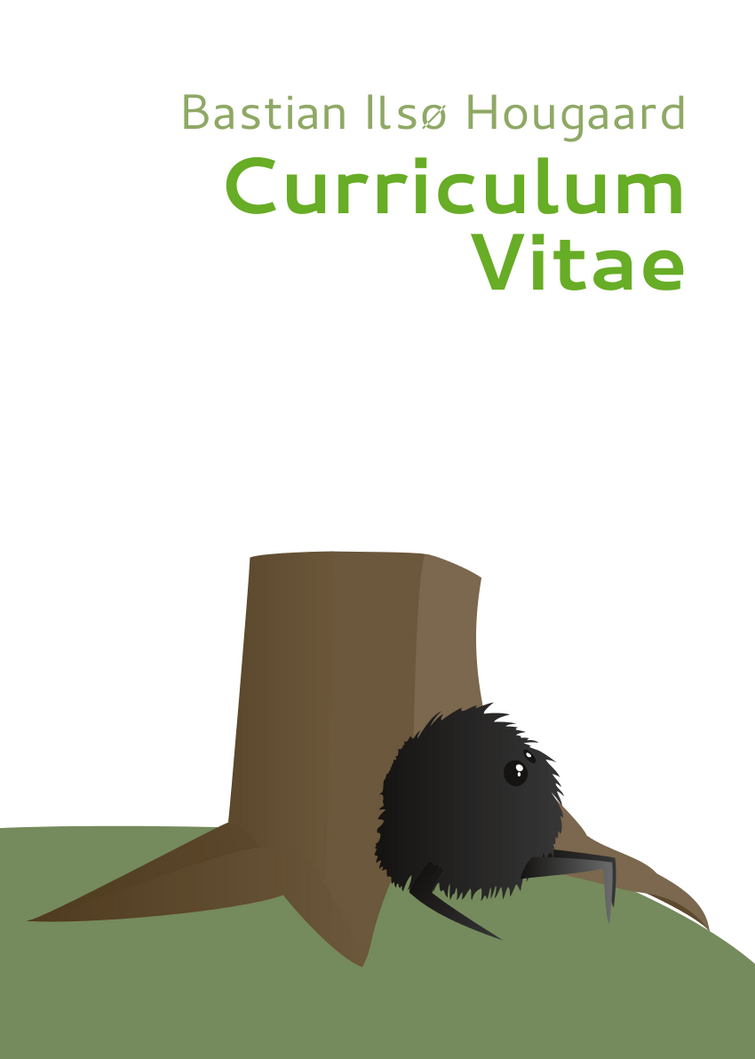 Curriculum Vitae Front Page Cover Custom Paper Writing Service