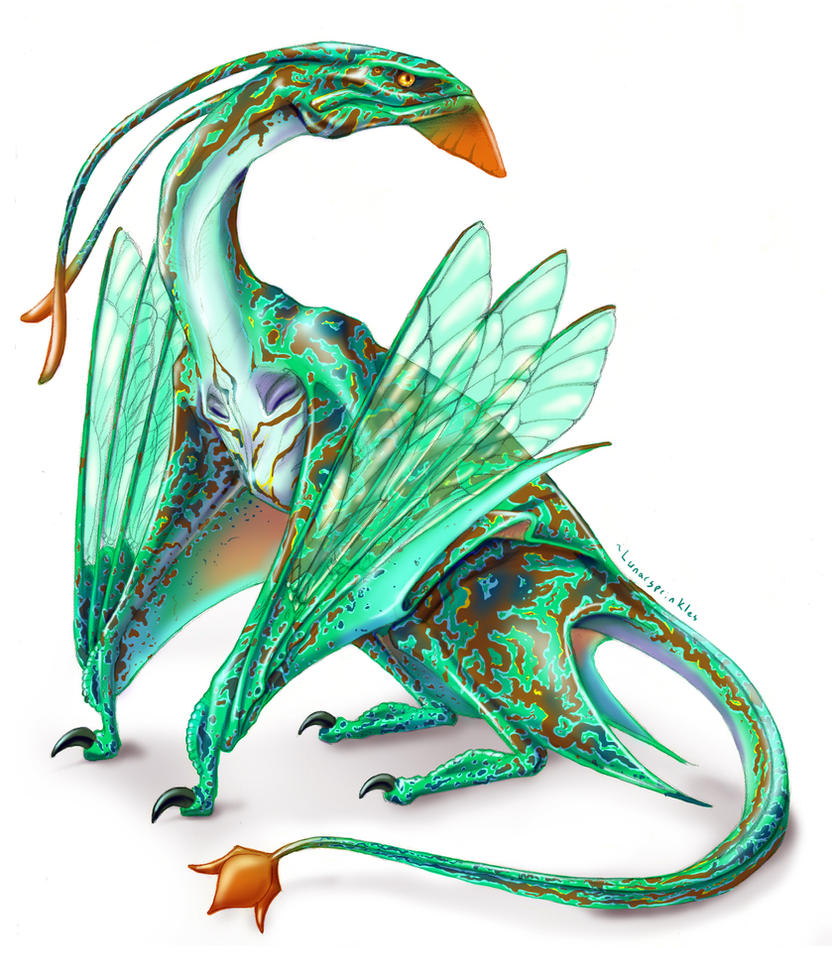 Dragon F de gilraen