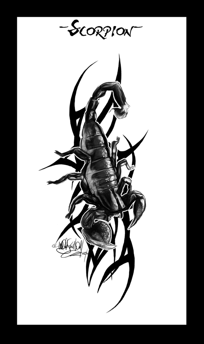 Scorpion Tattoo by