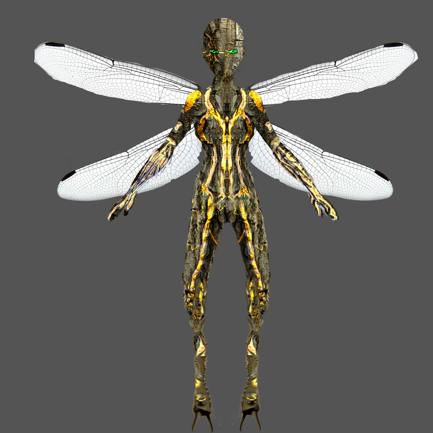 fairy_front_by_timmywithag-d3apo1l.png