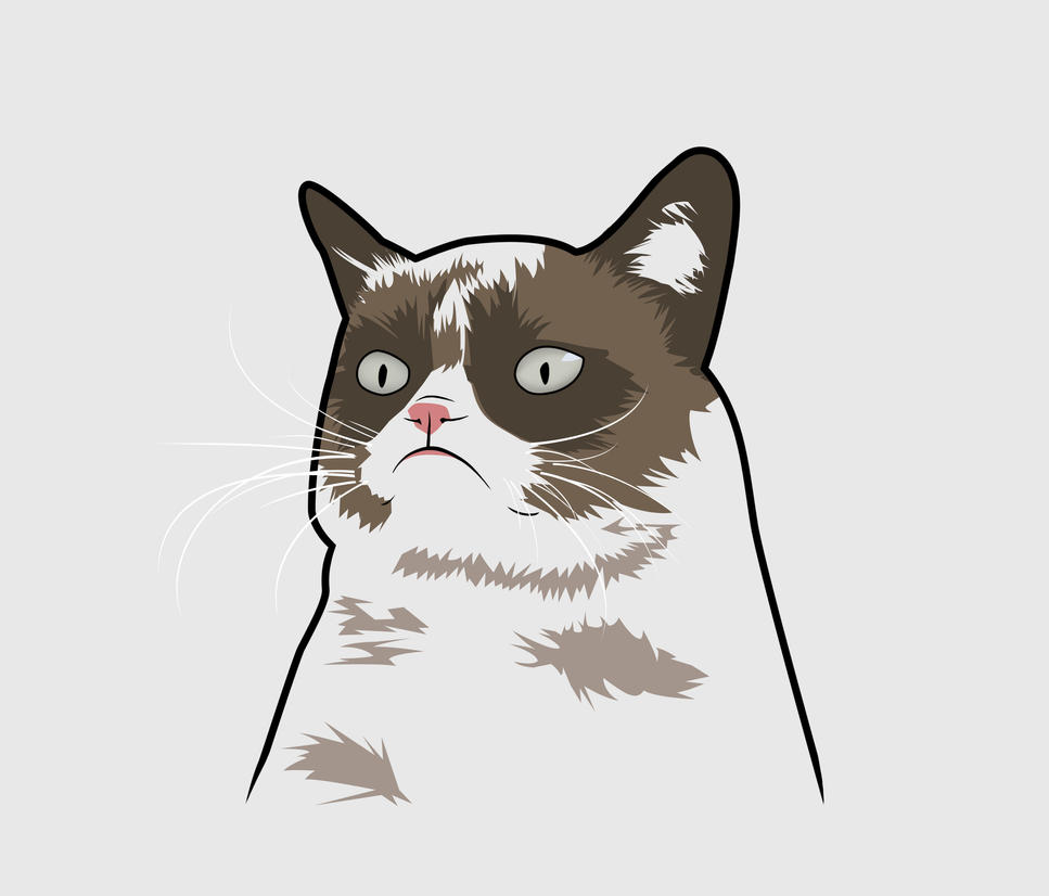 Grumpy Cat by ImWithStoopid13 on DeviantArt
