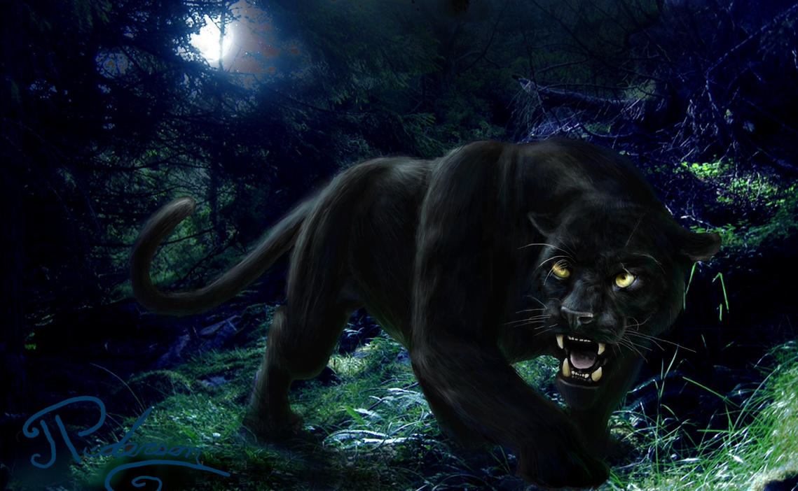 black_panther_in_forest_by_sayjinlink-d2et9gi.jpg
