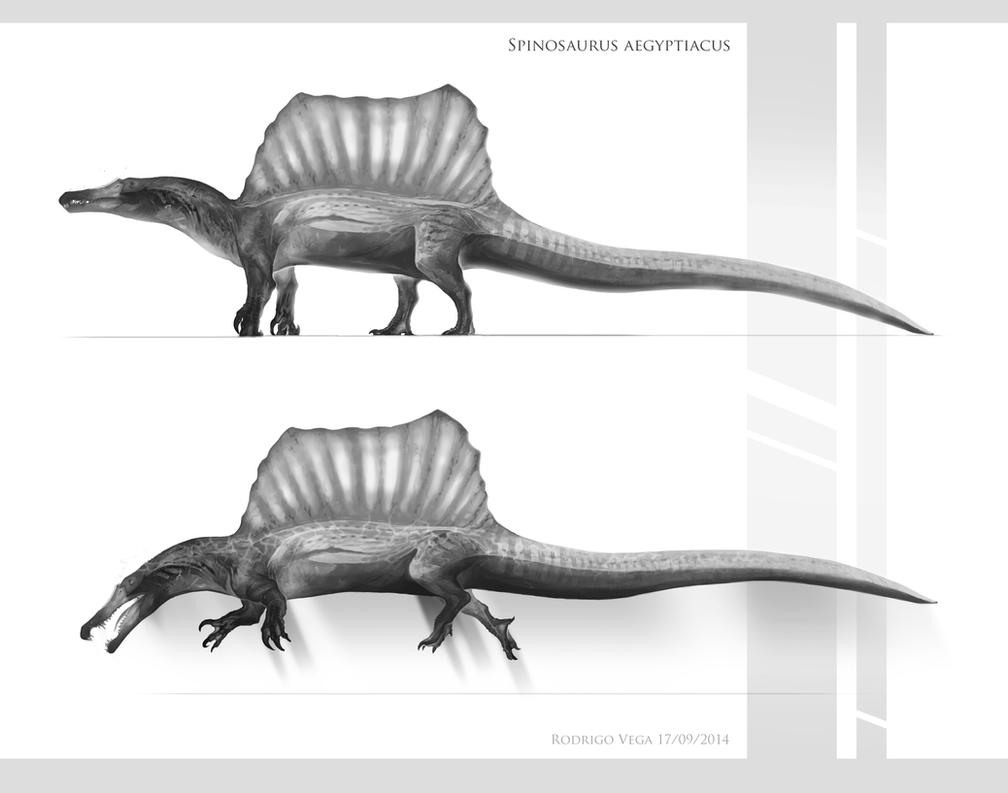 spinosaurs_aegyptiacus_2014_by_rodrigo_vega-d7zj8yn.jpg
