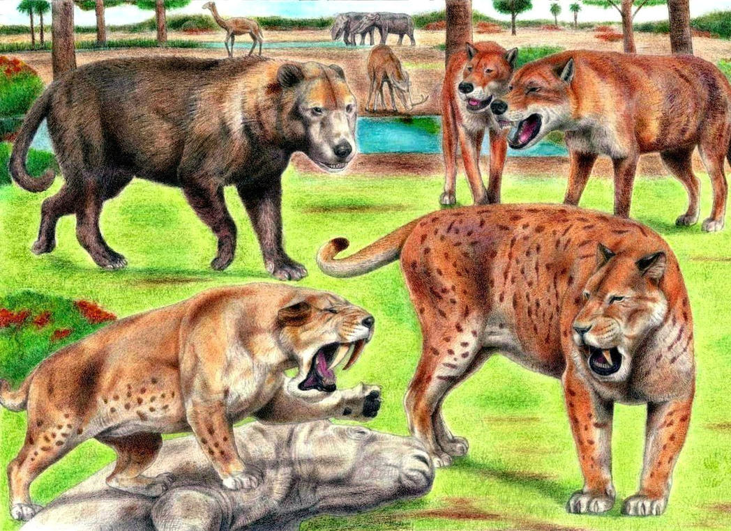 Prehistoric Safari : Miocene Florida by Jagroar