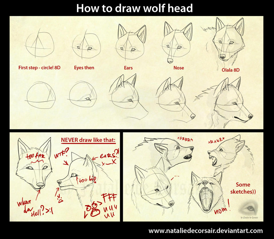 Kurt izim -http://th08.deviantart.net/fs71/PRE/i/2010/239/1/0/Wolf_head_tutorial_by_NatalieDeCorsair.jpg