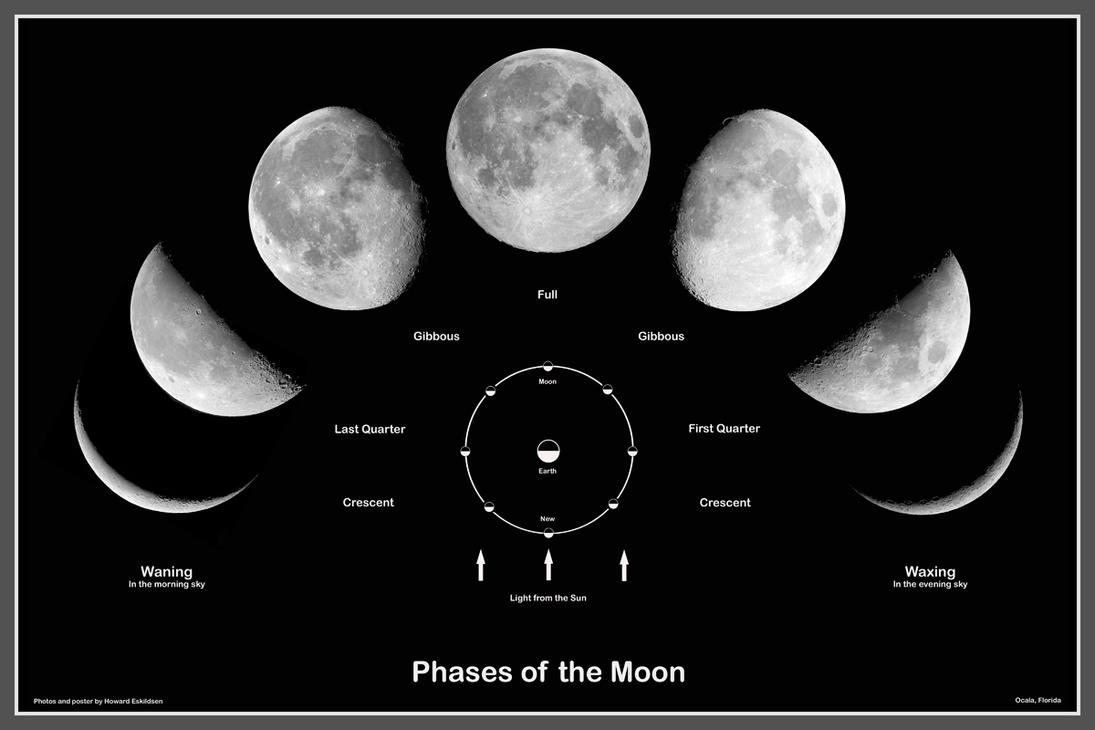 Fases De La Luna