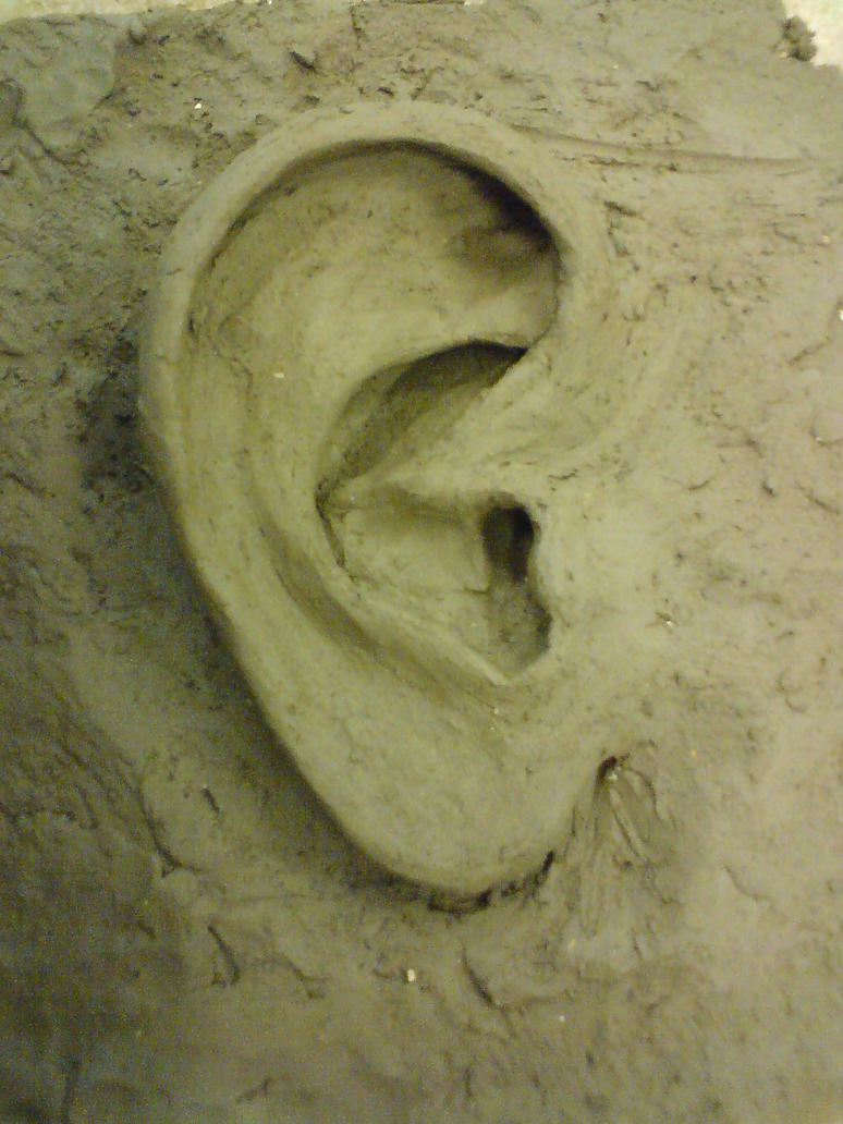 sculpture_4___ear_by_gocholudek-d5bc8ri.jpg