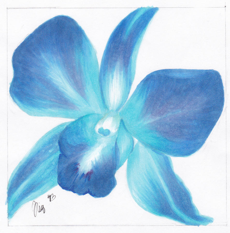 Blue Orchid by XWorldDOMInationX on deviantART