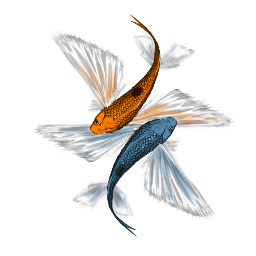clipart flying fish - photo #38