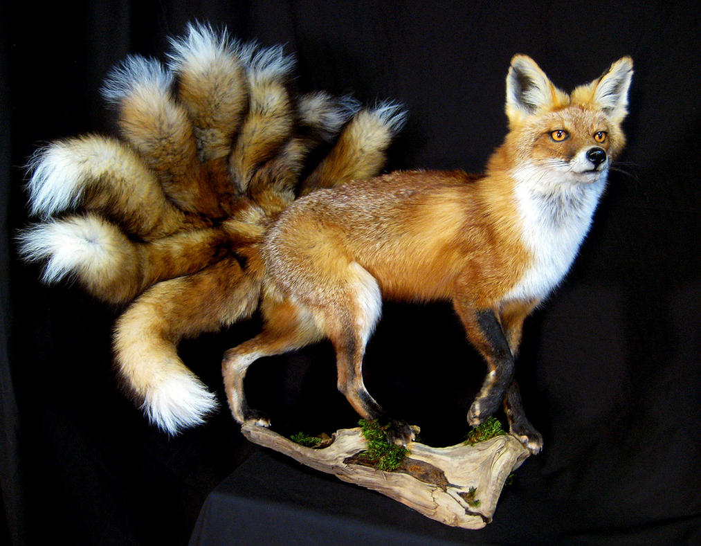 Luxury Realistic Fox Tail